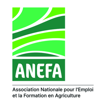 LOGO-ANEFA